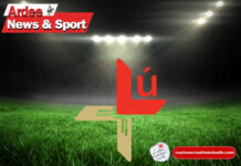 Louth Gaa