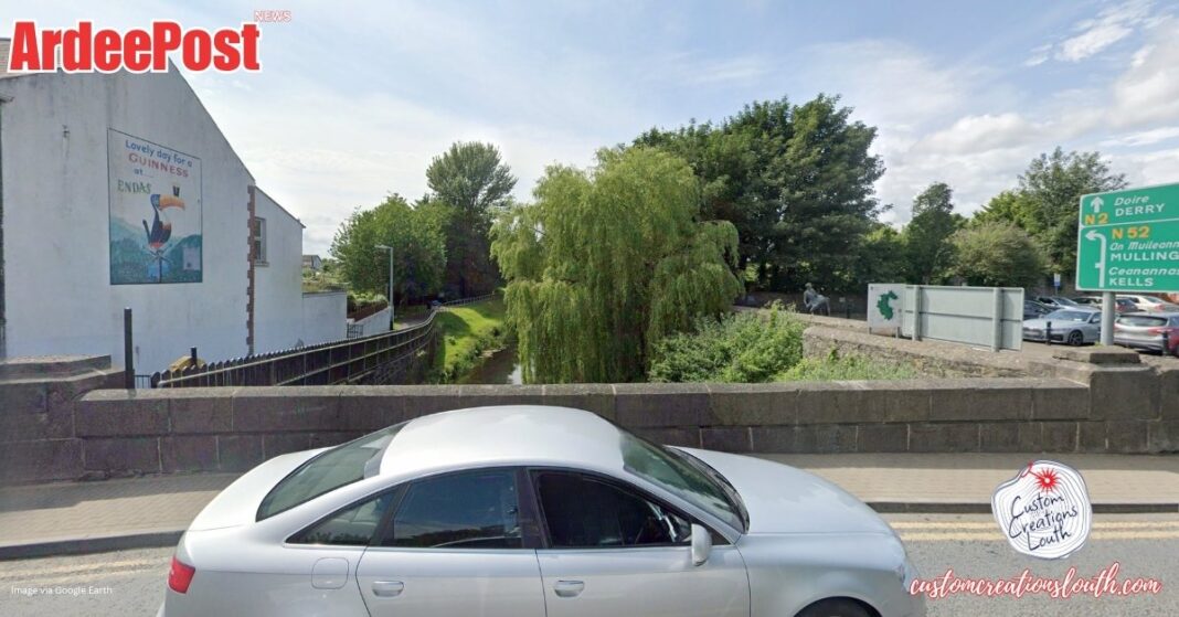 Ardee River Rescue: Publican and Doorman Save Man From Drowning