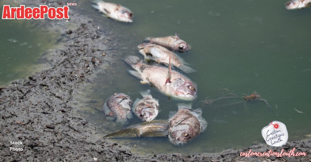 River Glyde Fish Kill: Thousands Dead After Alleged Slurry Pollution